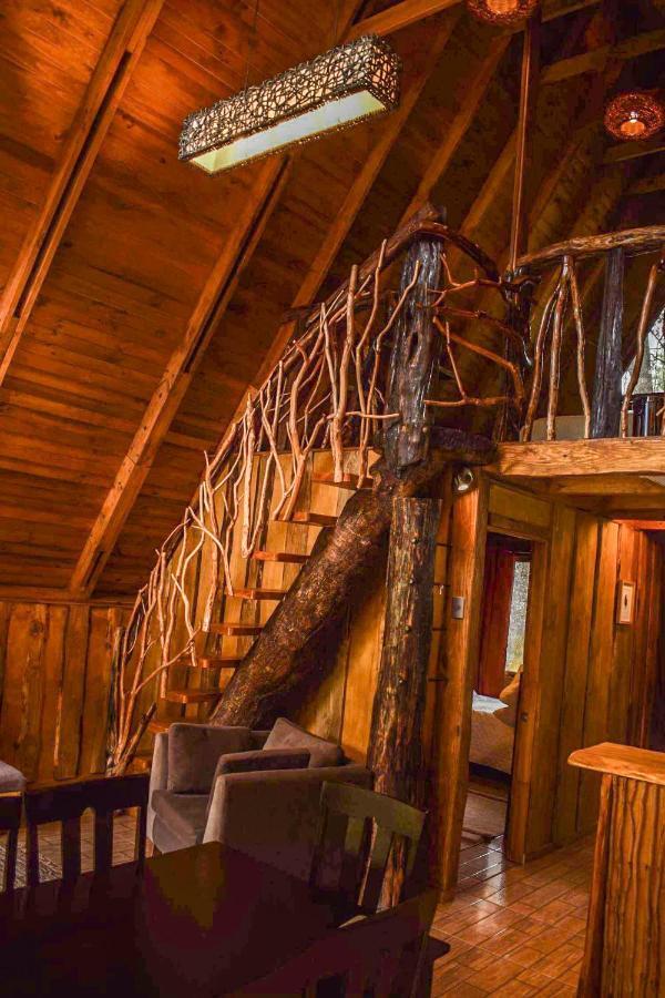 Cabanas Ecoturismo La Pancha 푸에르토 아이센 외부 사진